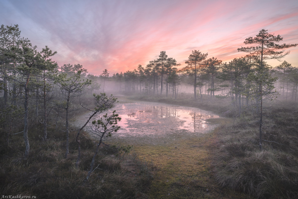 "Мочажина на болоте"