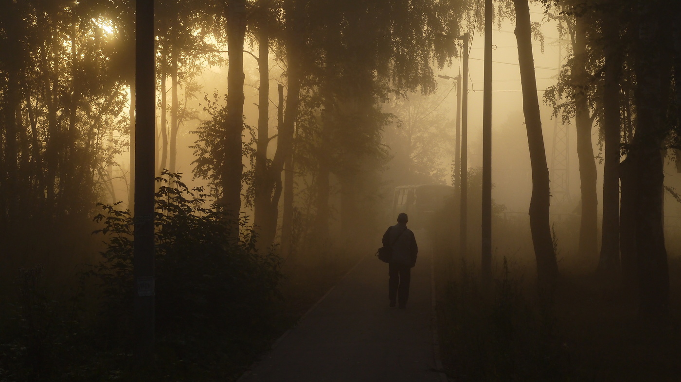 Туманное утро.