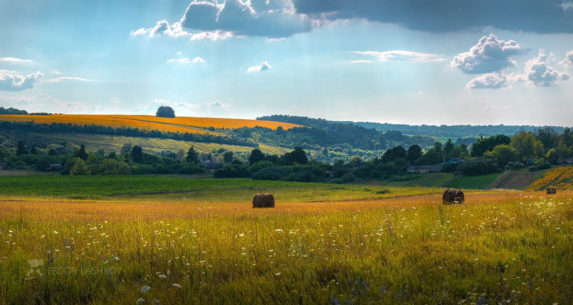 Жаркое лето