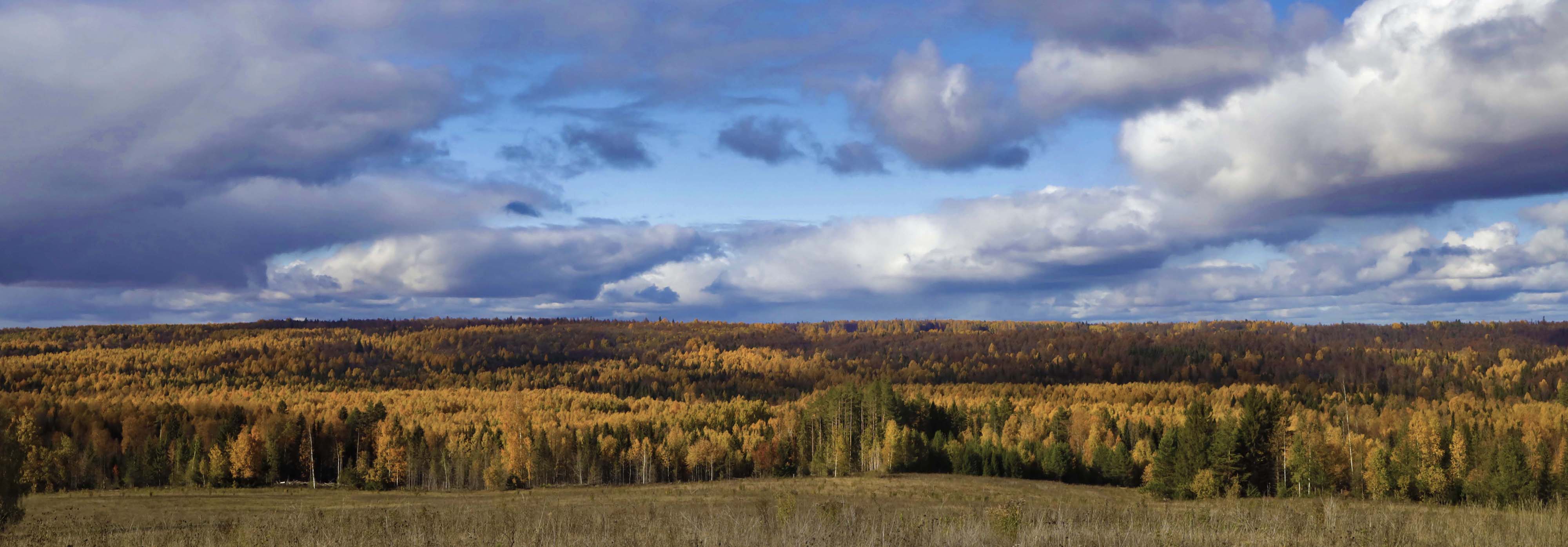 осенняя панорама