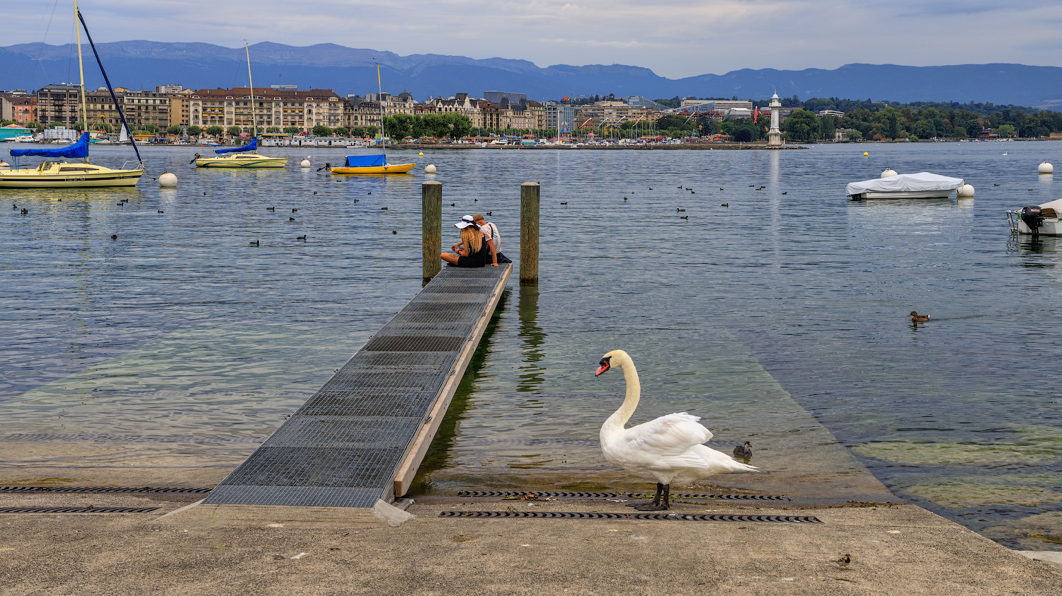 После летнего дождя