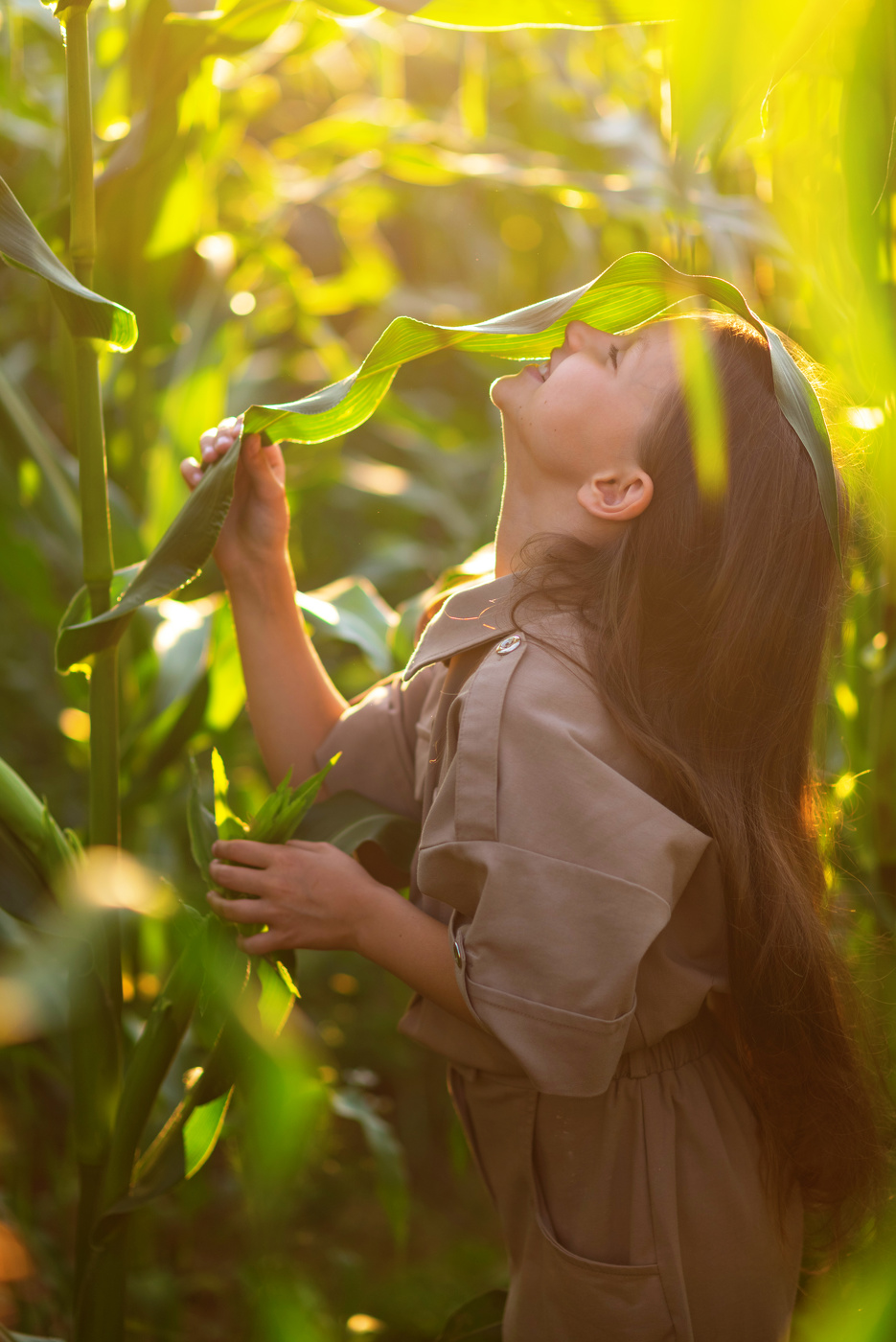 Под листьями кукурузы