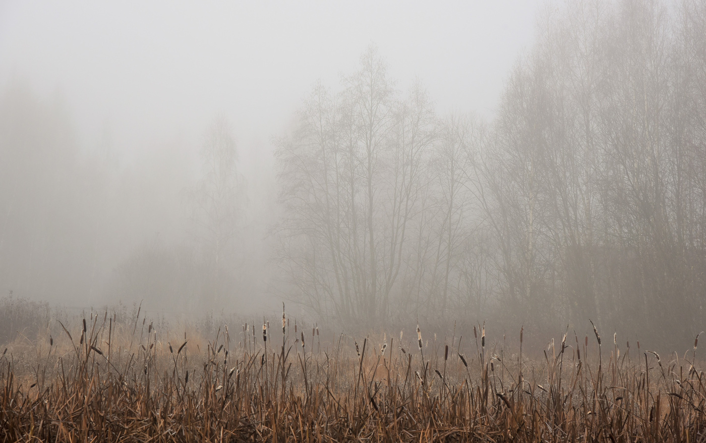 "Рассвет осенний - нежная пора ..."