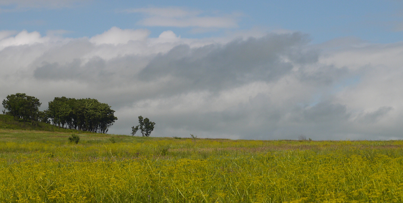 Дальний восток.