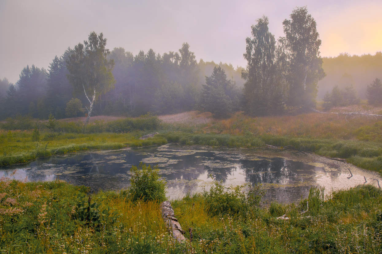 Урочище Комары. Июль.