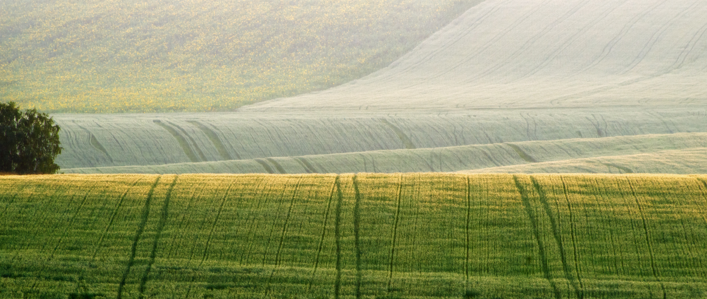 Вечер над полем
