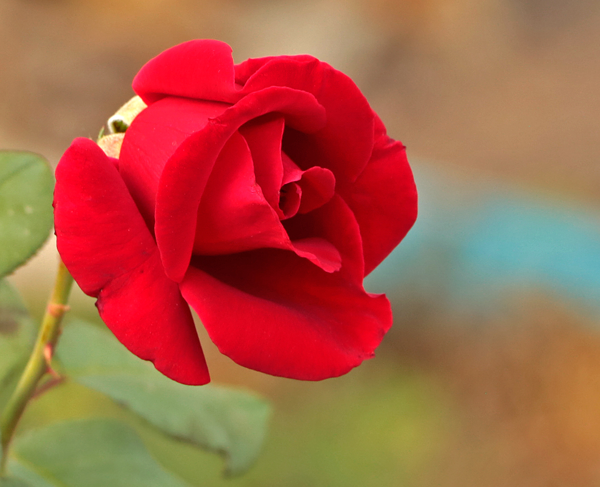 В конце августа