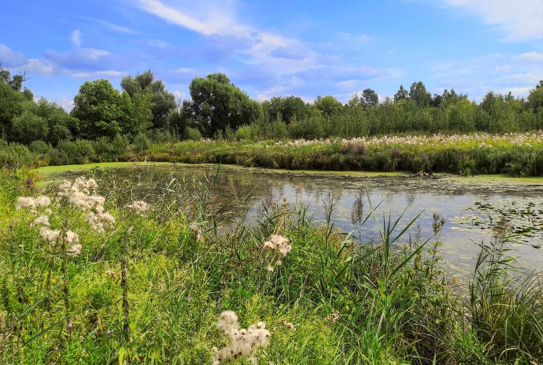 Кончается лето...