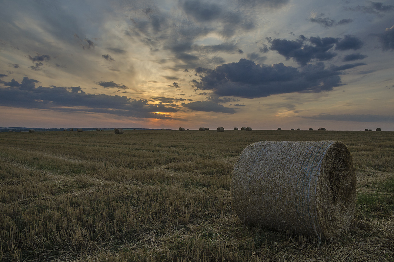 Рассвет в полях. Лазарево