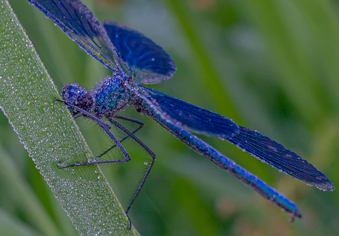 в ступоре...