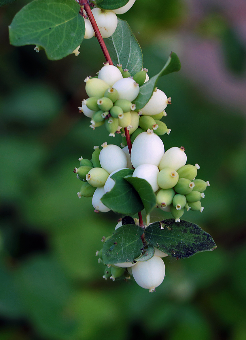 Вот и кончилось лето...