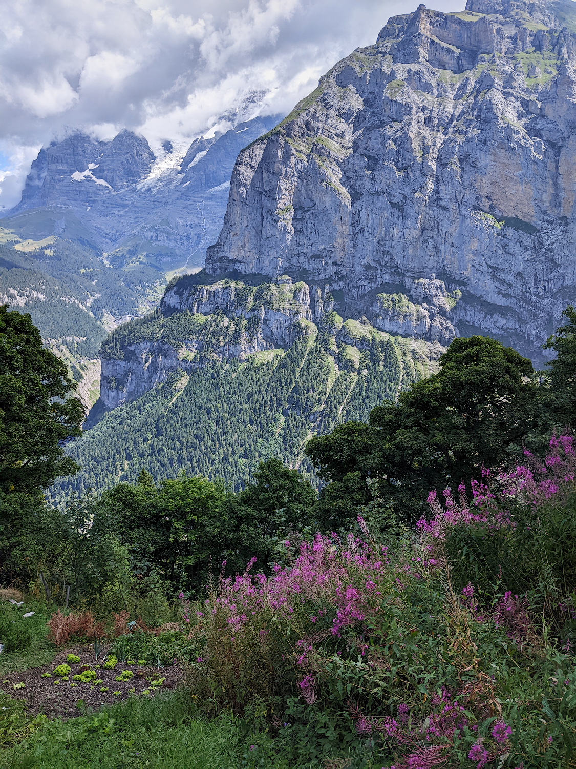 "Следы человека"