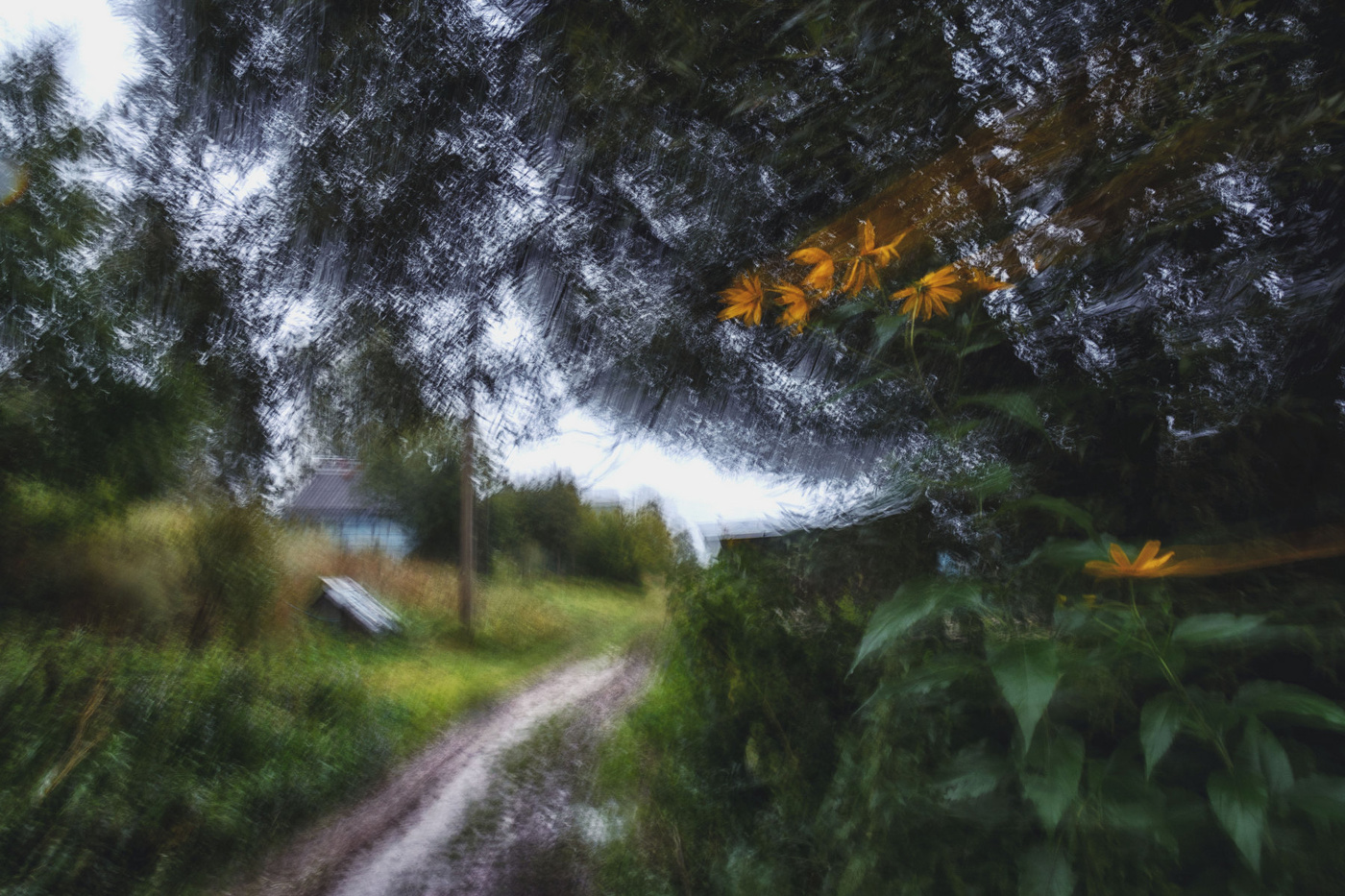 Жизнь вокруг