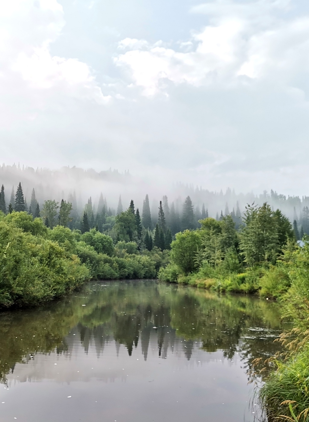 Сквозь дымку тумана