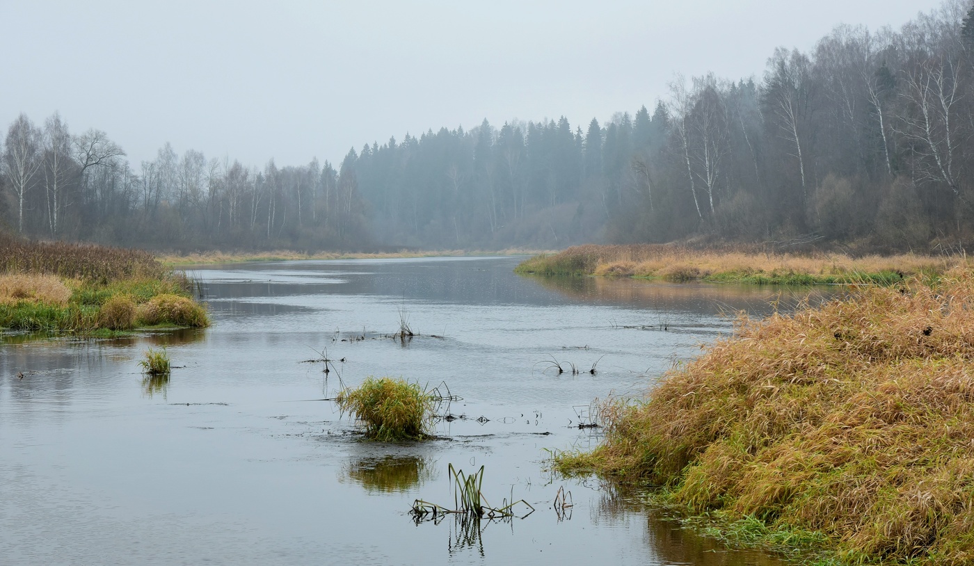 "Это осень, ноябрь и предзимье - время чая и теплых вещей..."