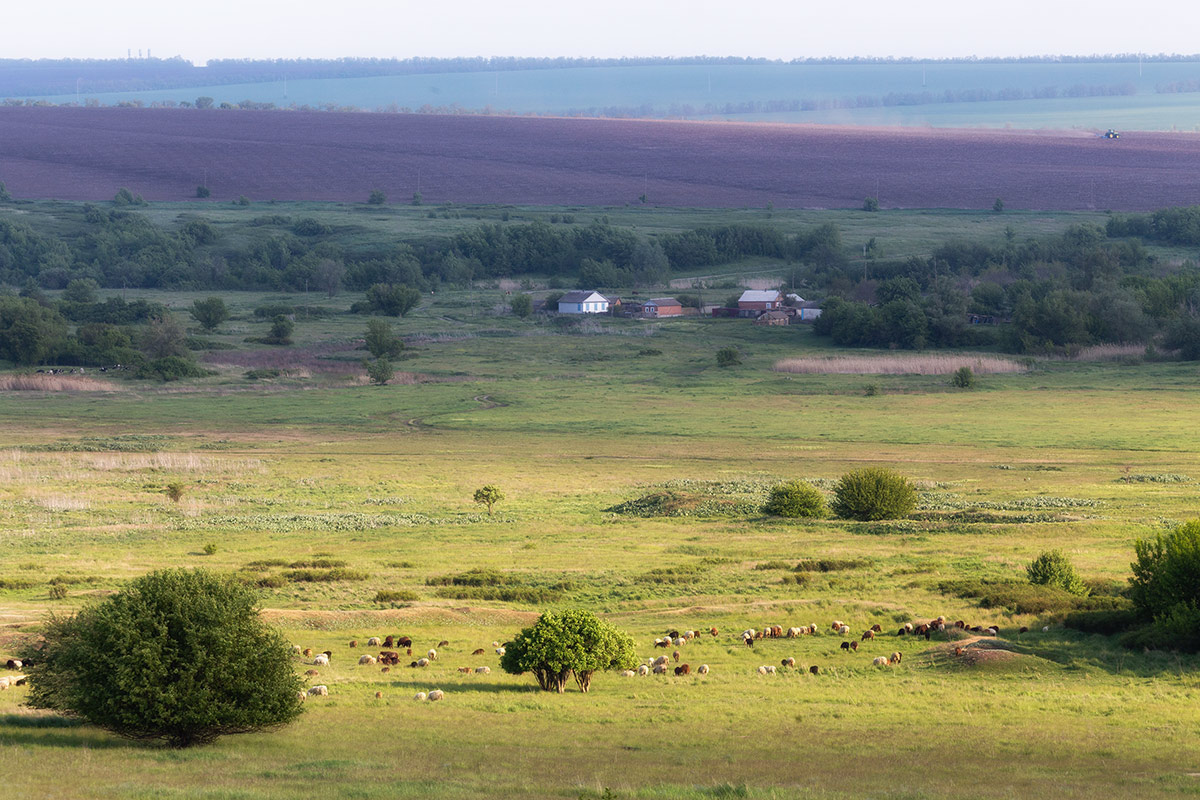 У хутора Исаев