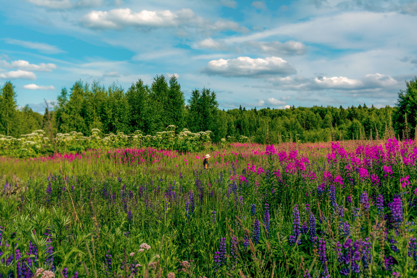 на дальней станции сойду...