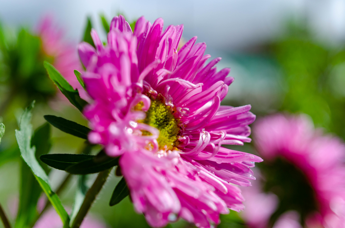 Ещё немного лета.