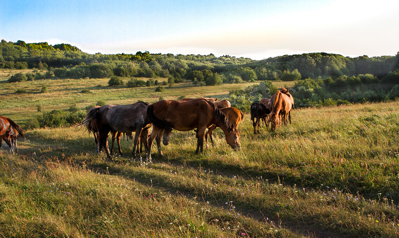 На рассвете
