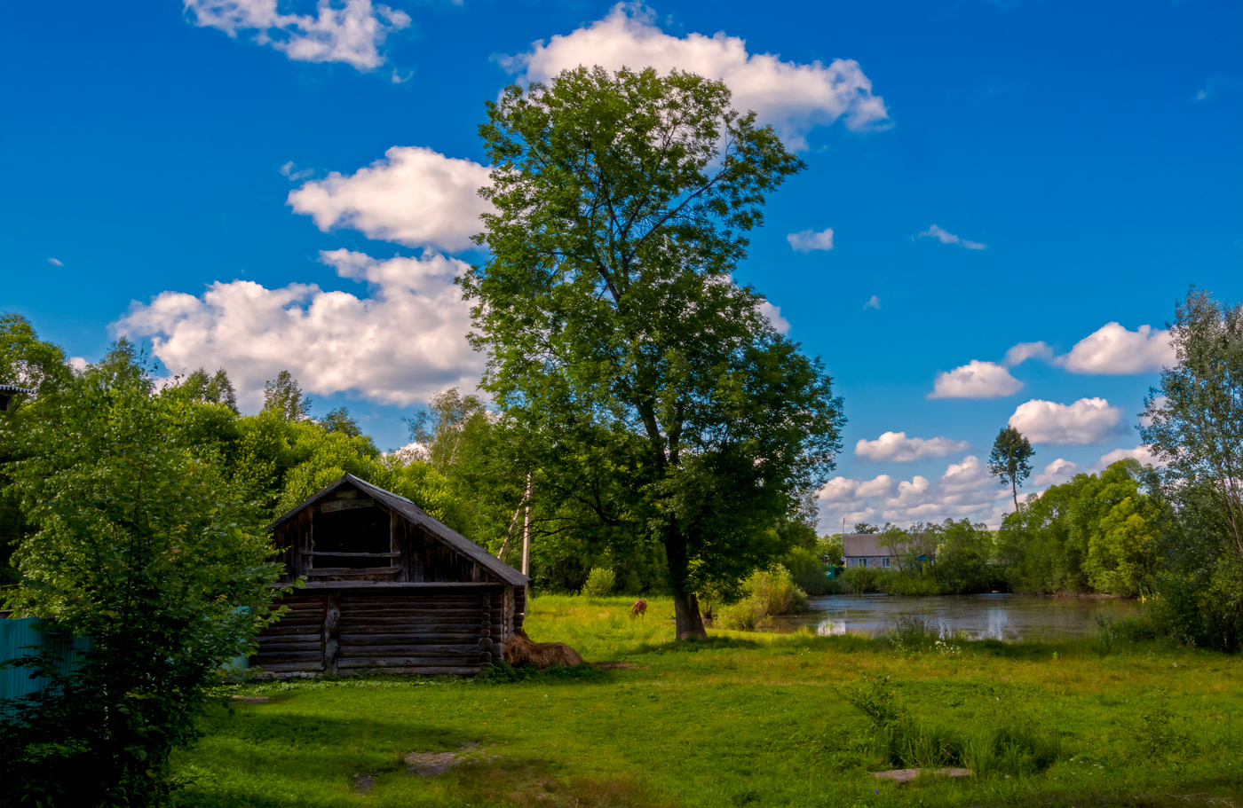 сельские зарисовки