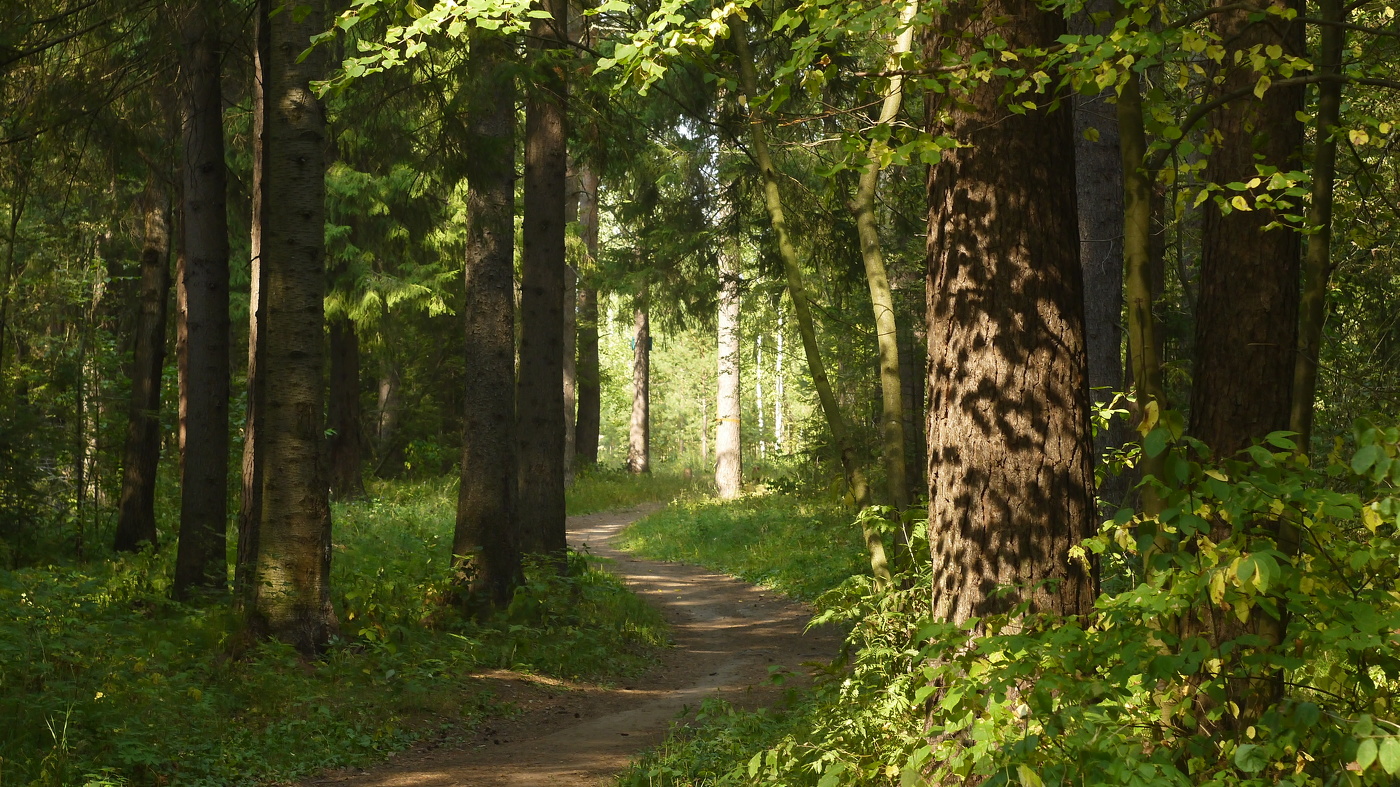 Последние дни лета.