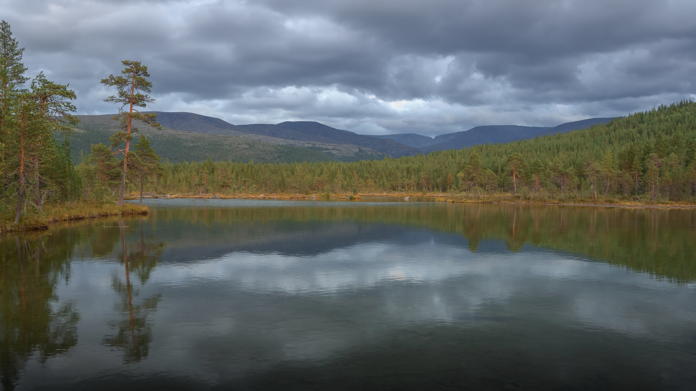 Свет вечерний