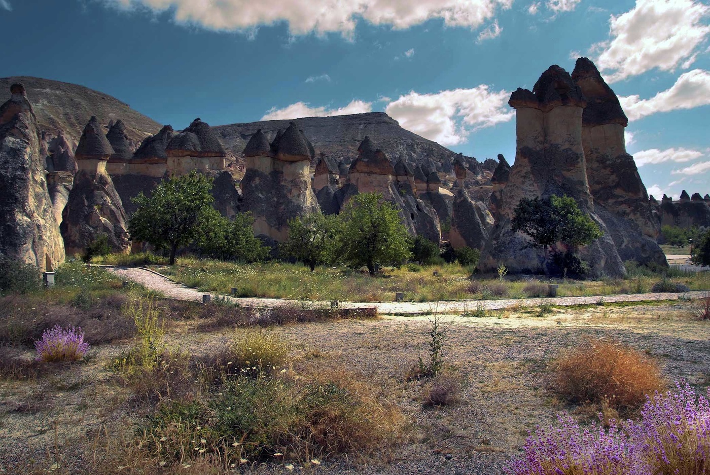 Каменные грибочки