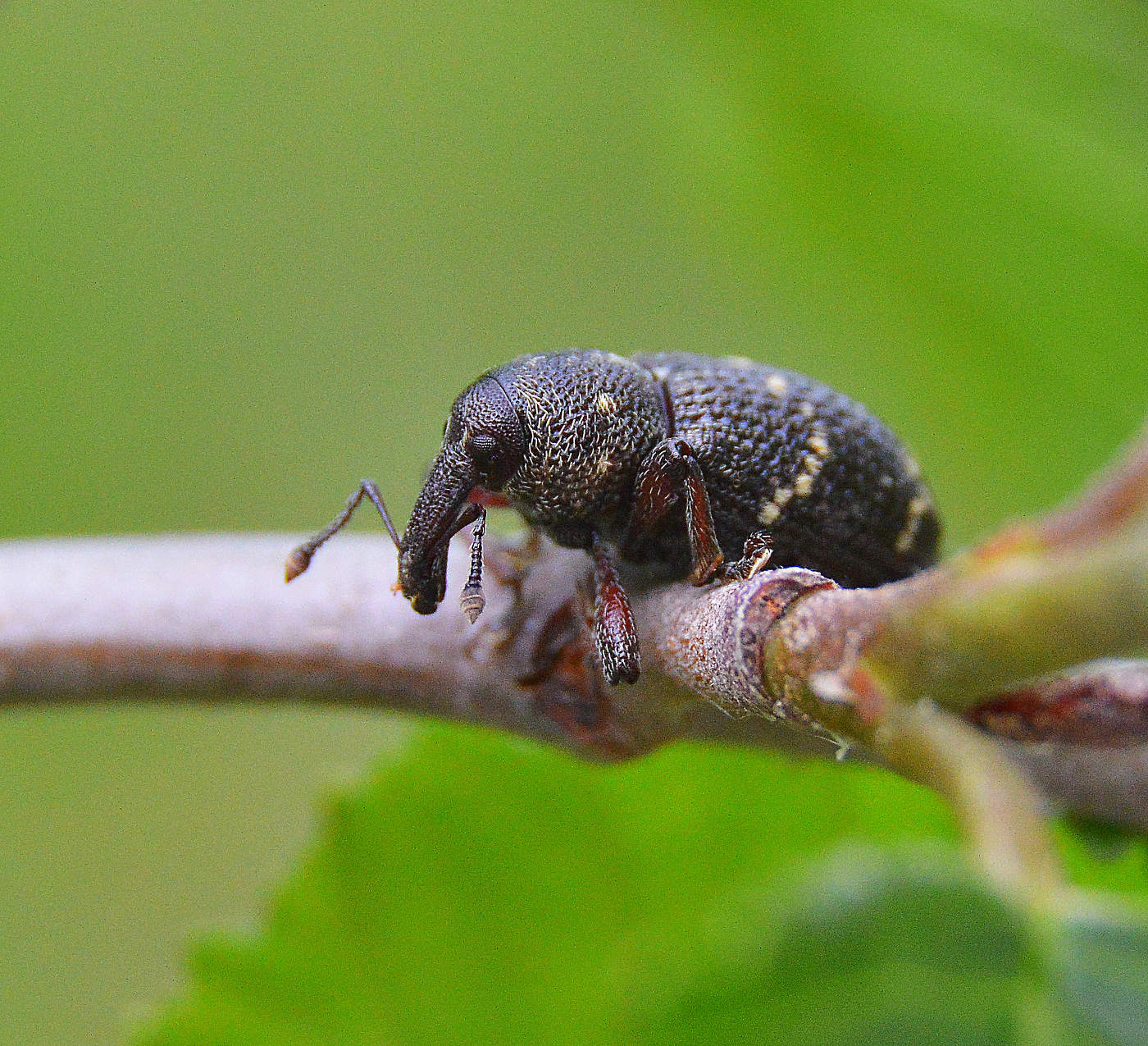 Как-то день не задался.