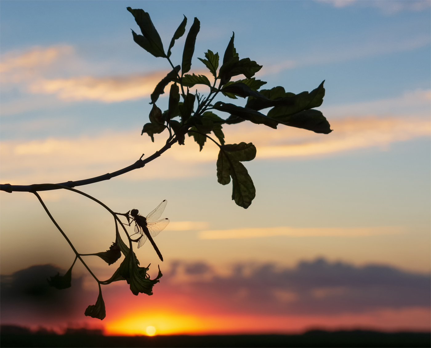 А функция заката такова...