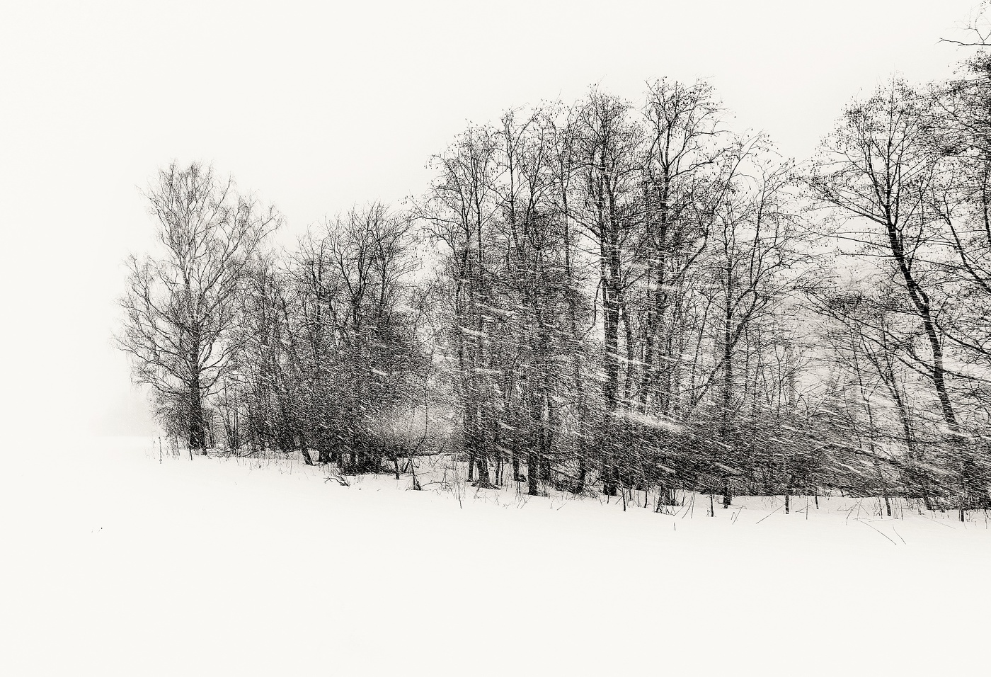 "Опять метель: две вечности сошлись в один короткий день..."