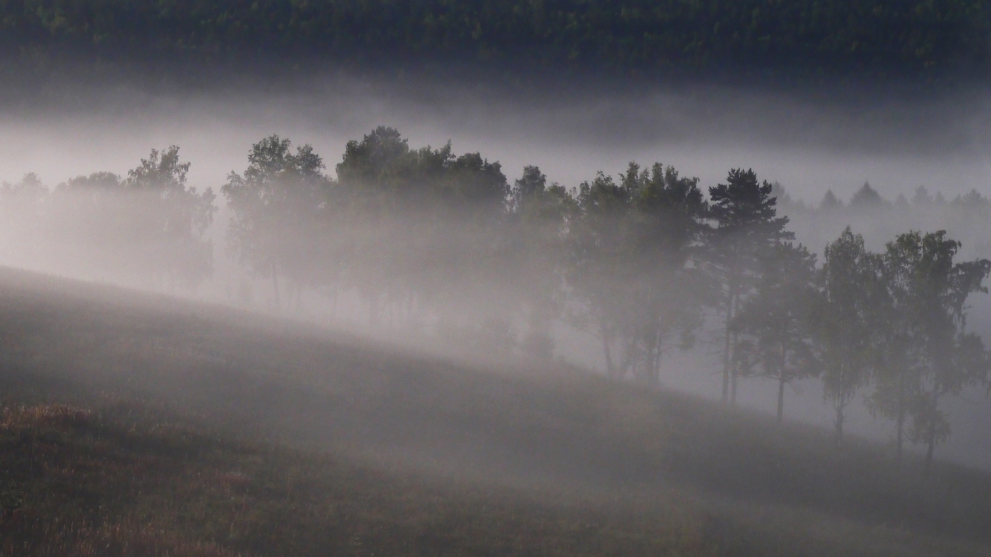 Сибирь,туман,утро.