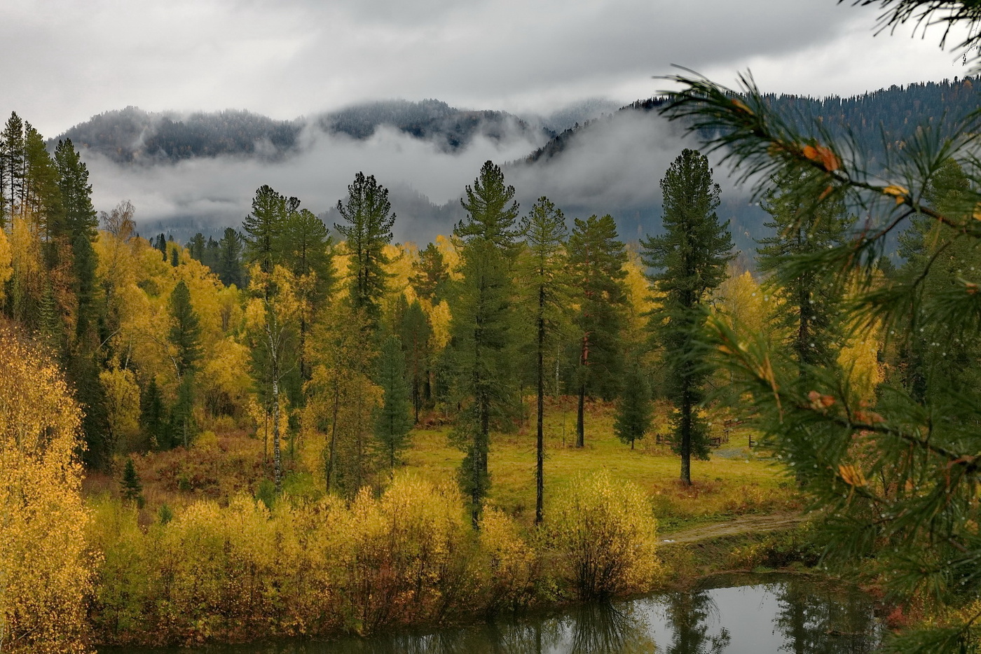 После дождя.