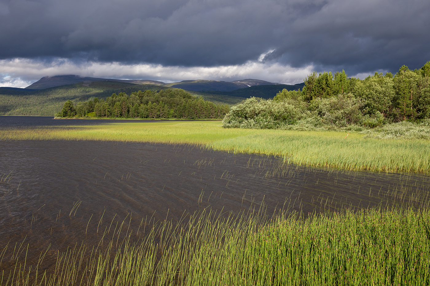 Перед грозой