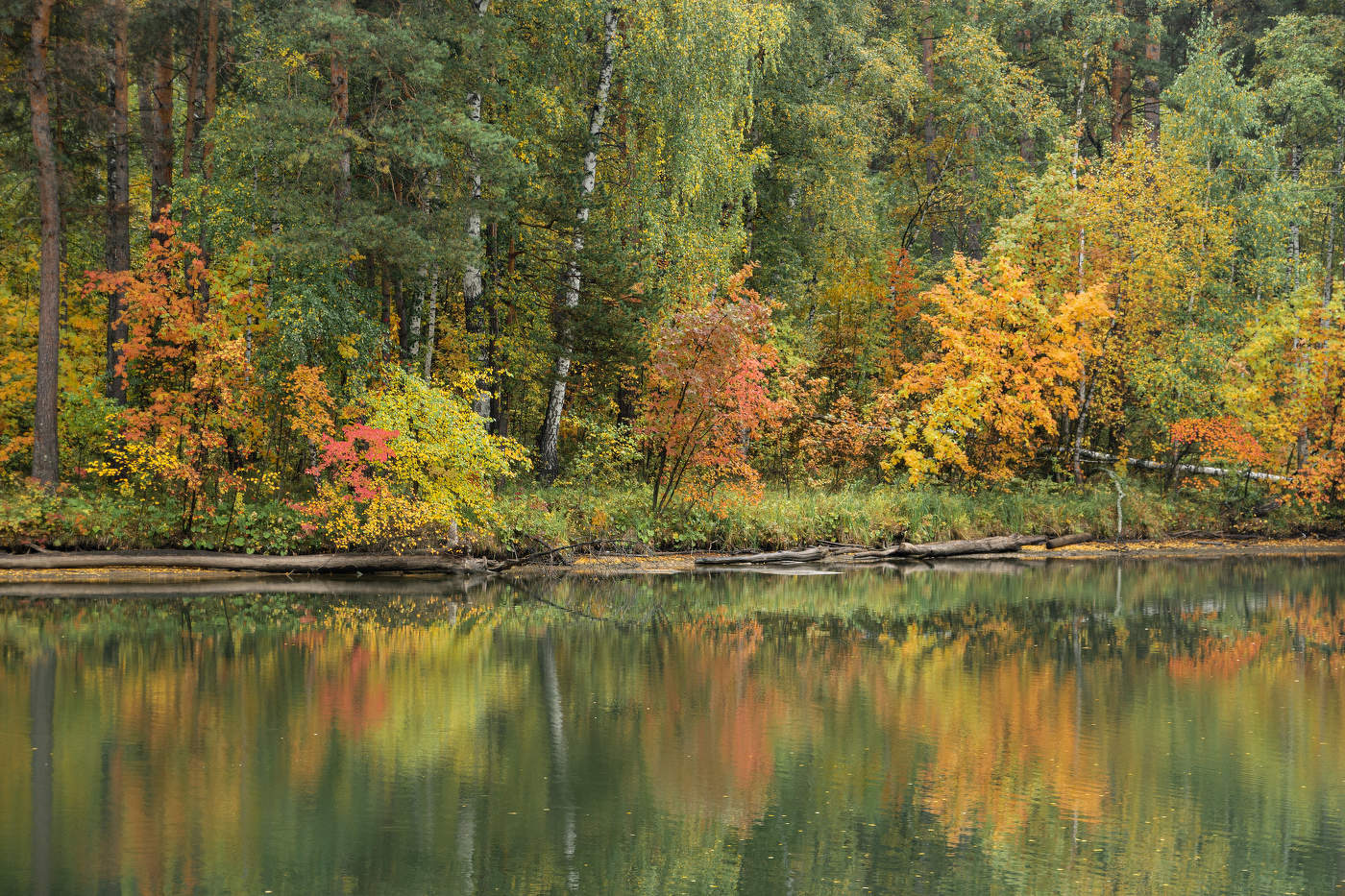 Палитра осени