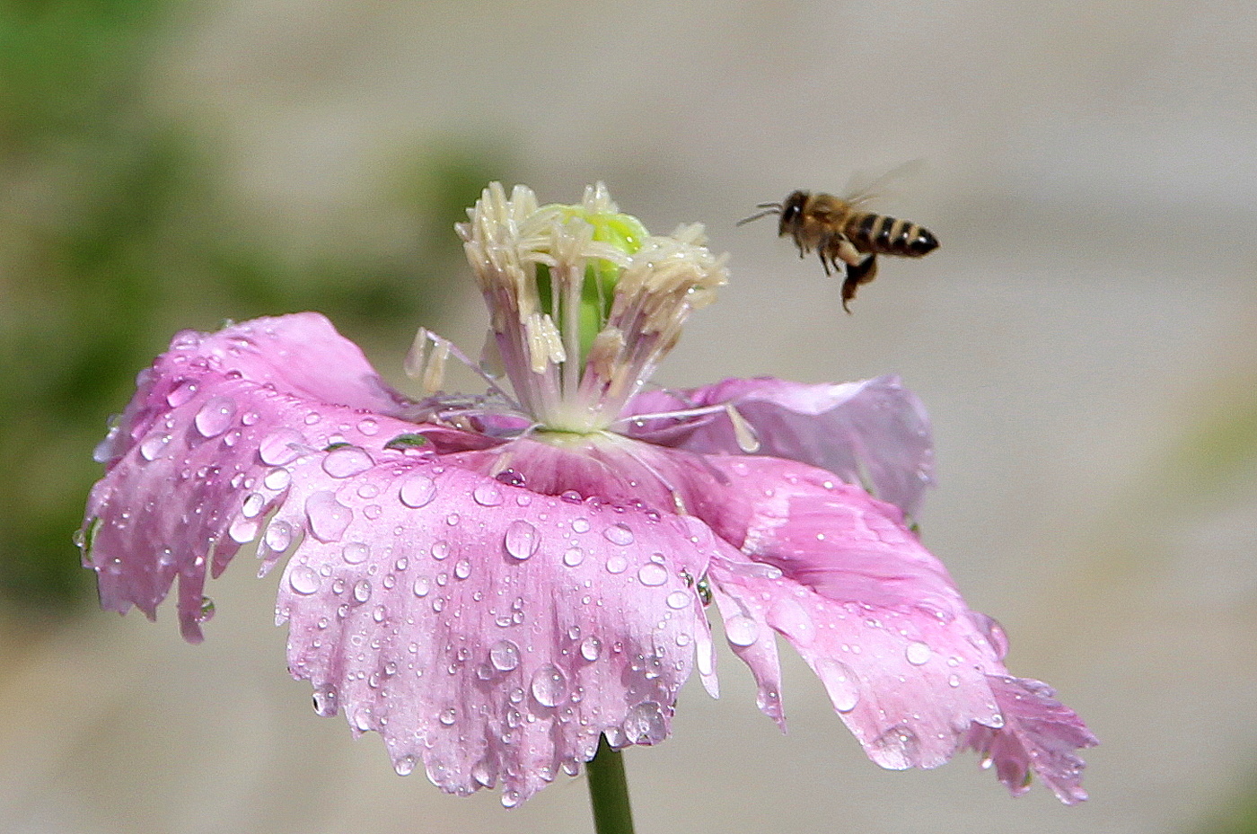 Дождь прошел!