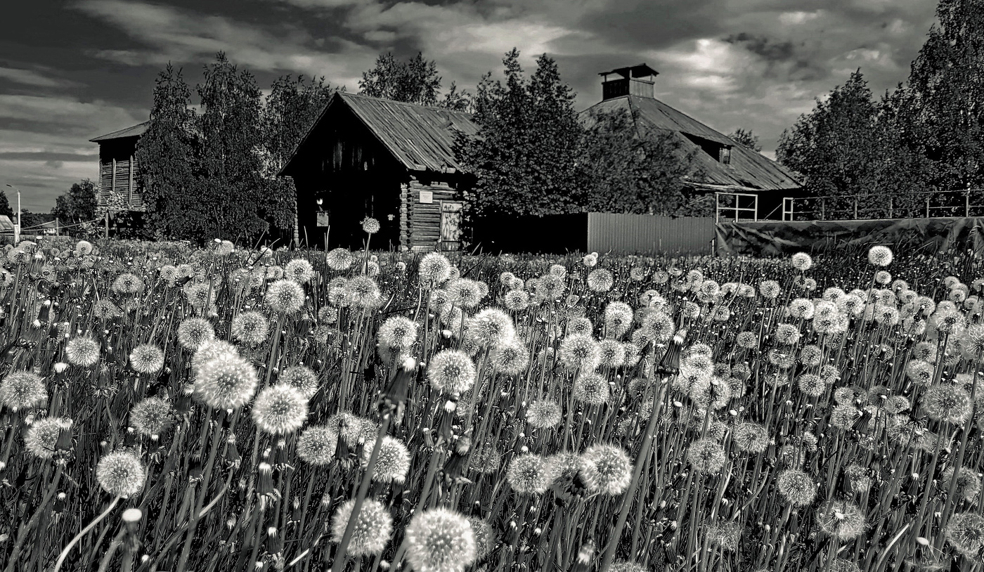 В ожидании полёта.