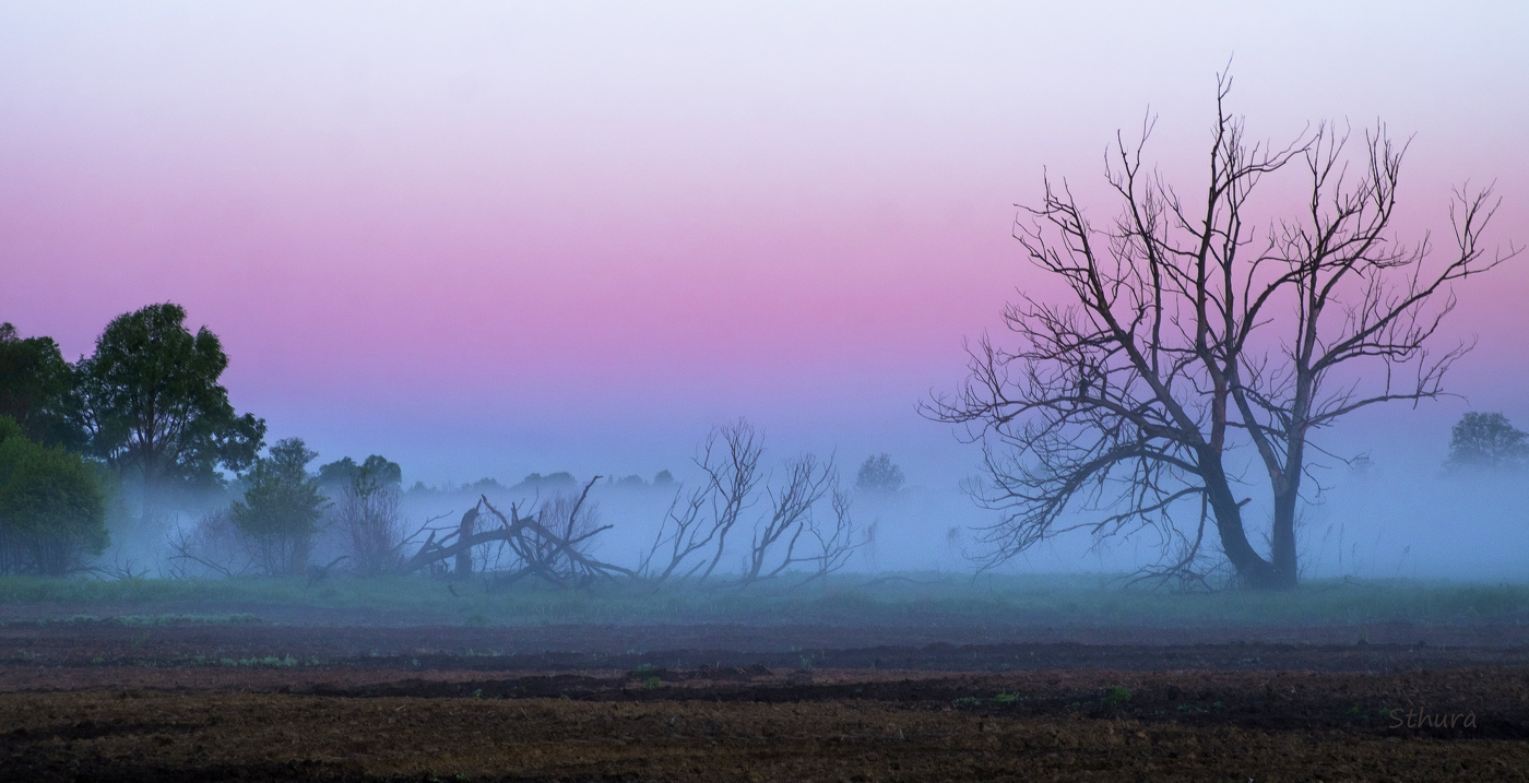 Весенний рассвет.