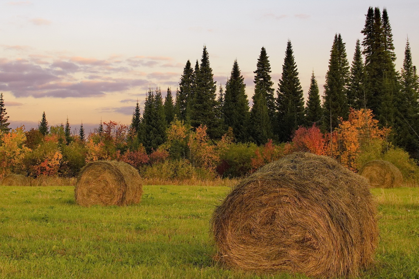 Тёплый вечер.