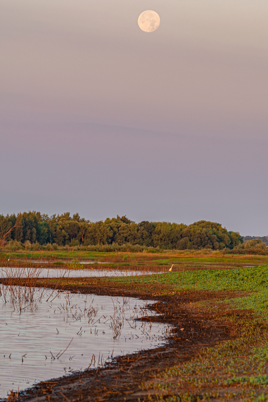 на восходе Солнца