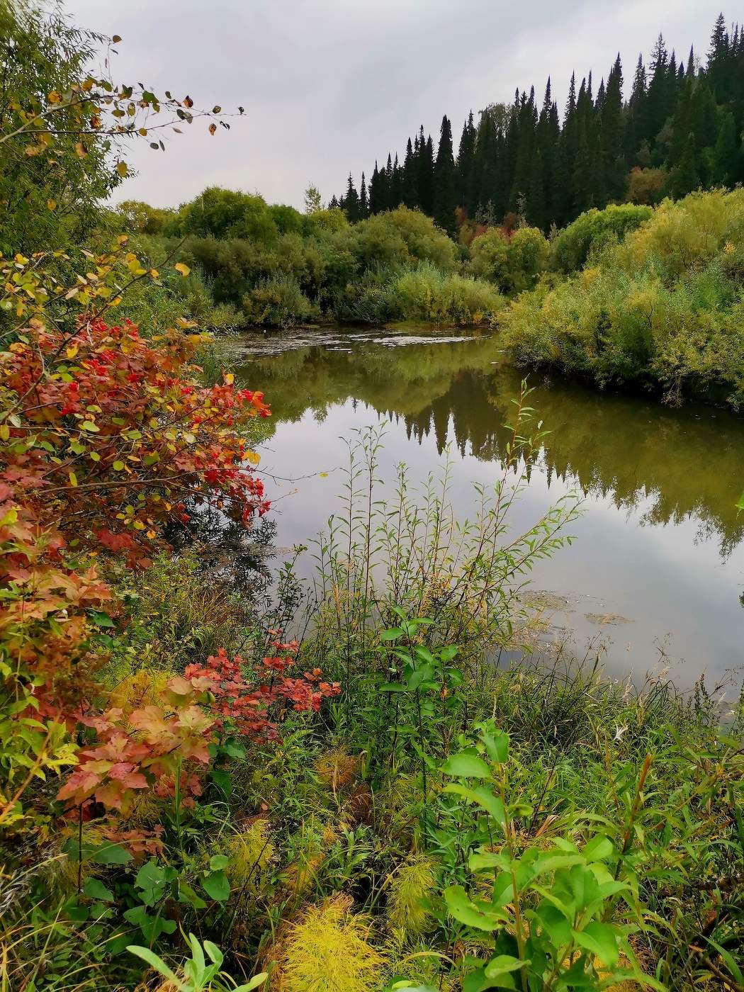 Осень,она не спросит...