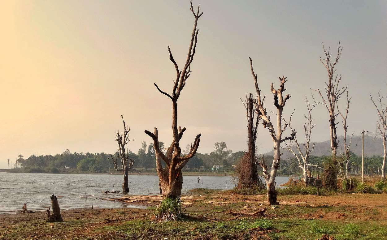 Всё приходит и уходит