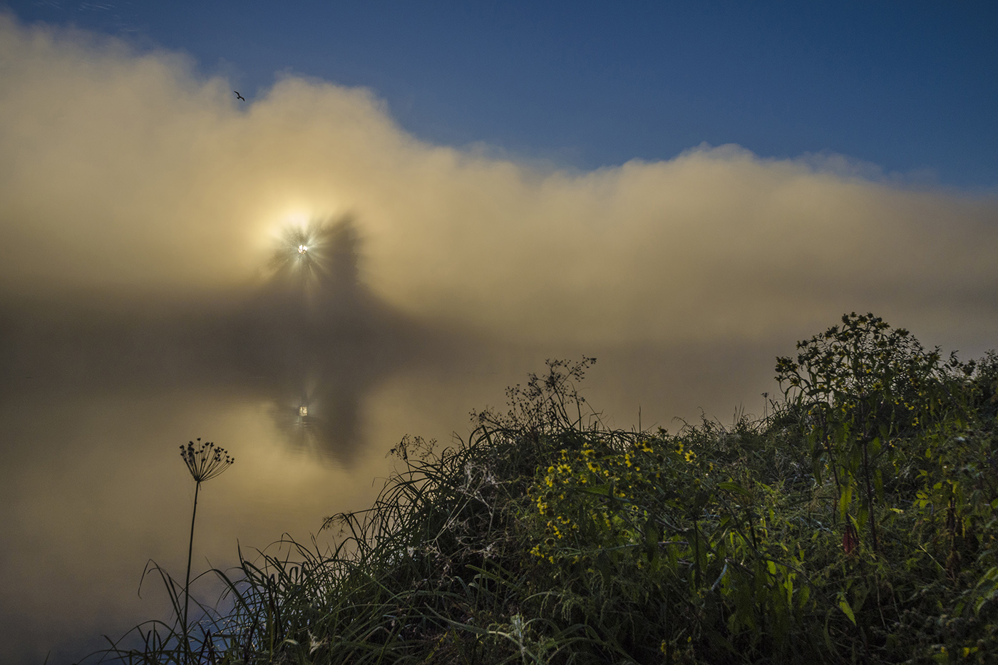 Туда, где Солнце встаёт