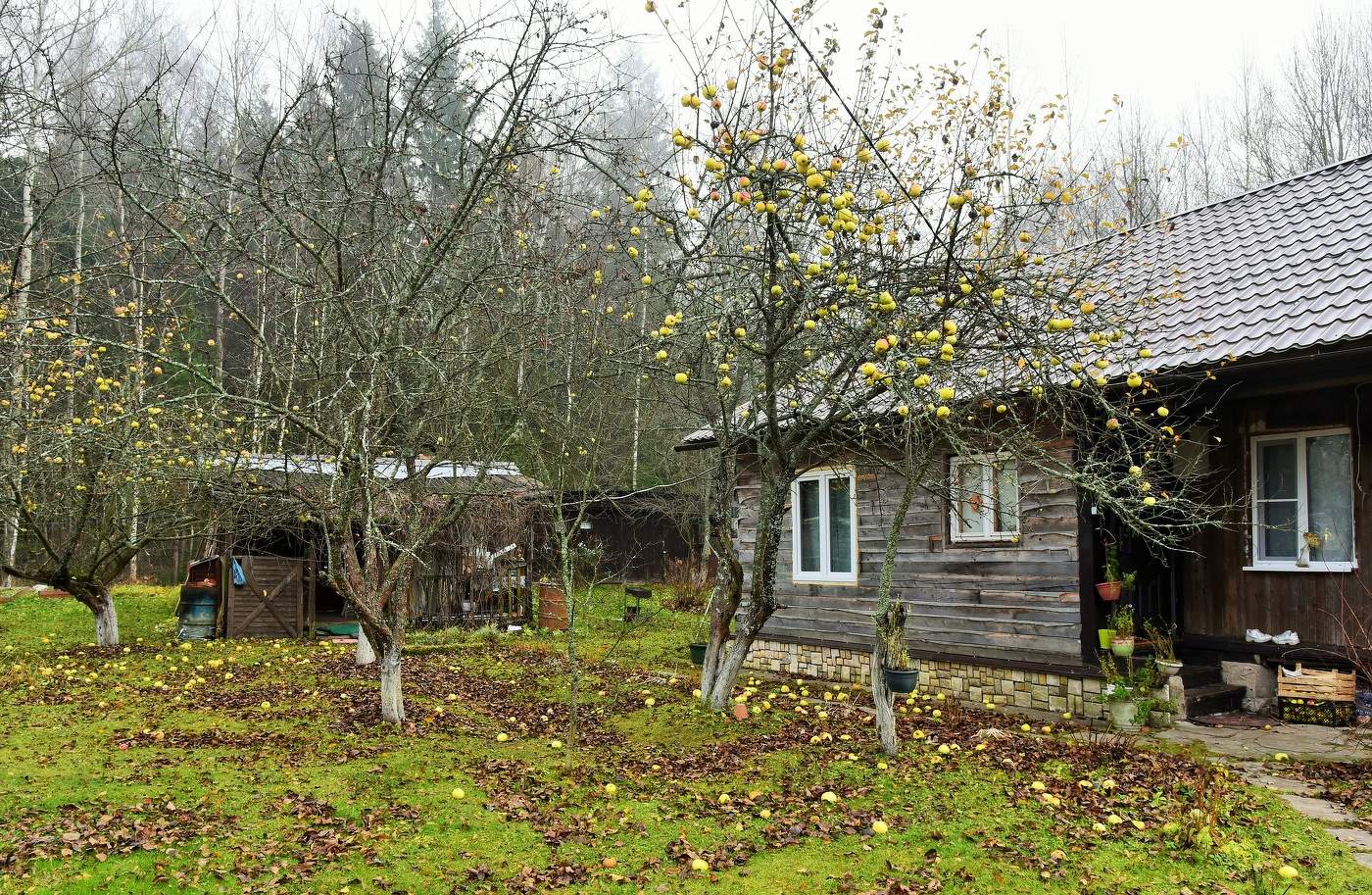 "Осень! Осыпается весь наш бедный сад ..."