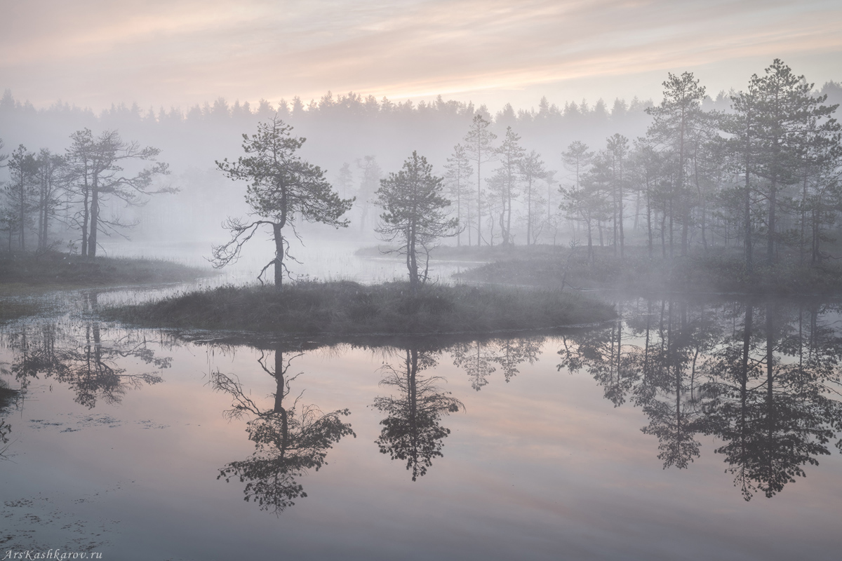 "Туманные отражения"