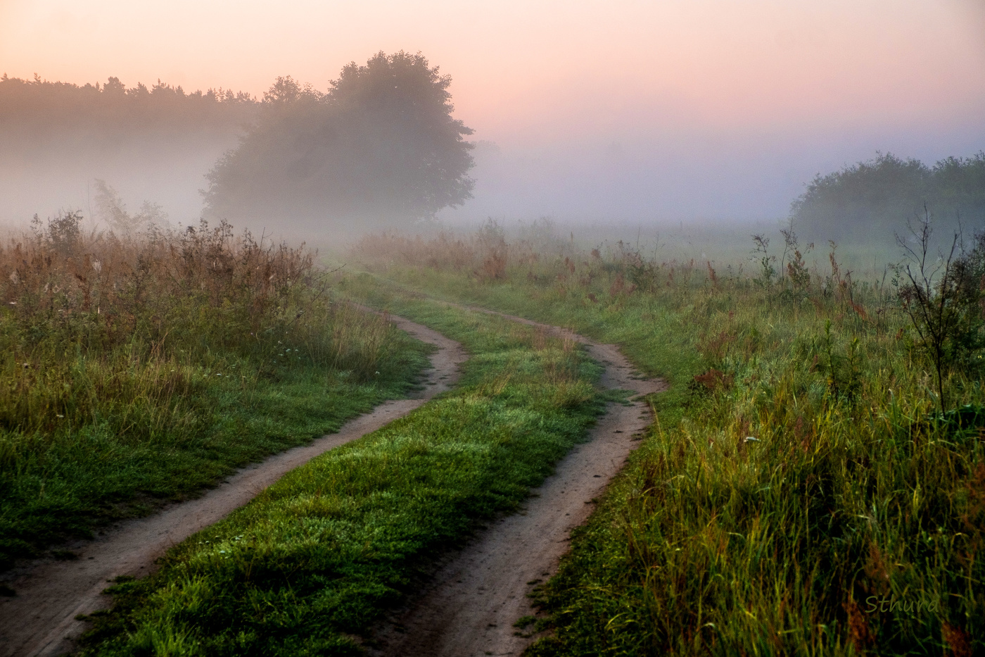 Утро в лугах Мещеры.