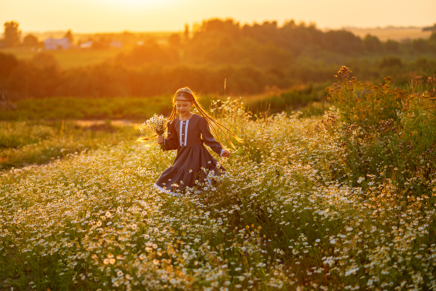 Ромашки для Полины