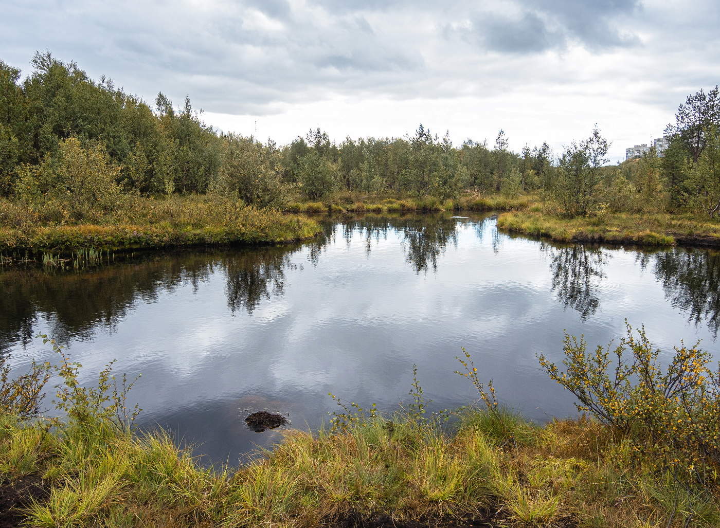 осенние нотки