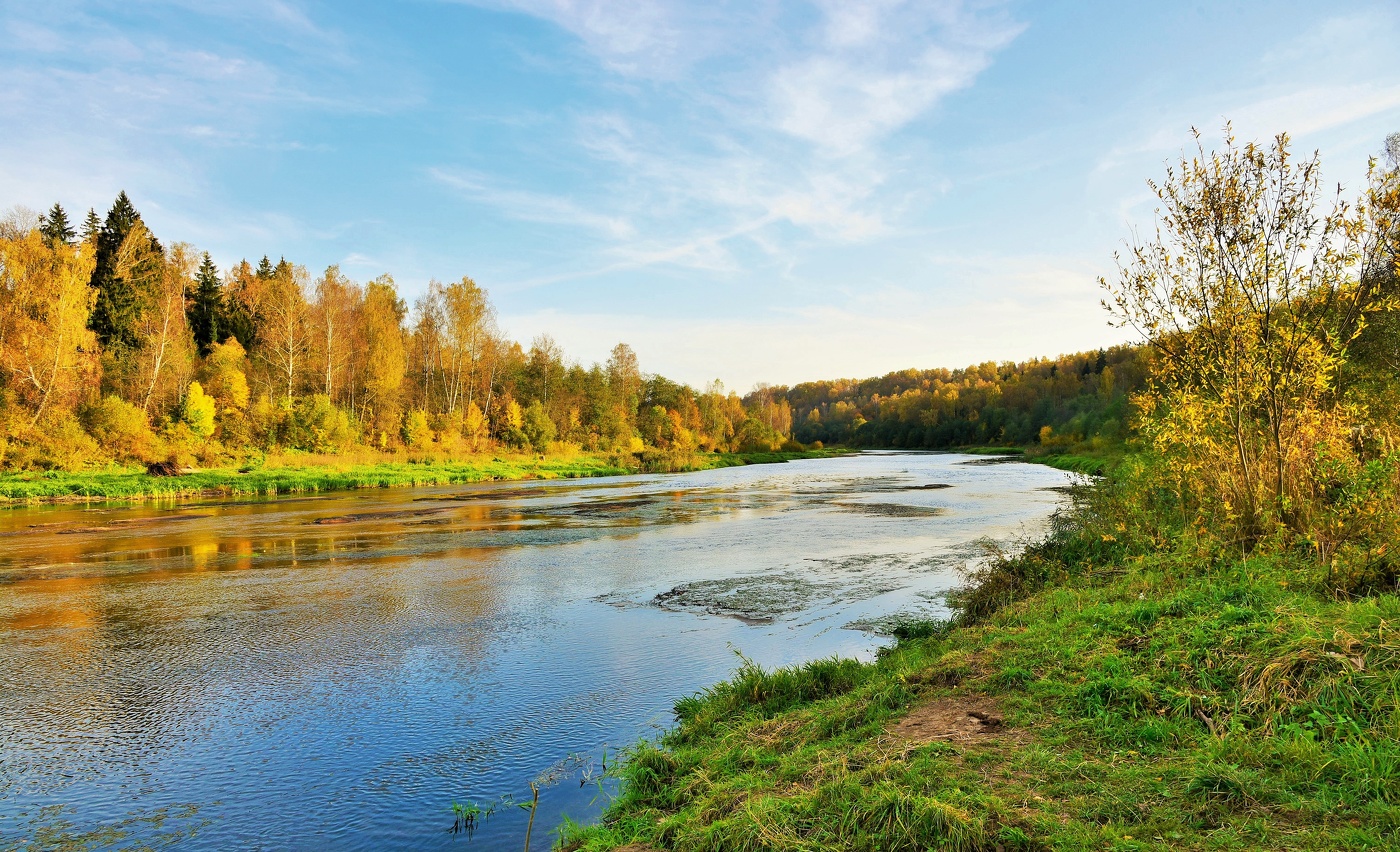 "Ах, осень, мое упоенье, моя золотая печаль..."