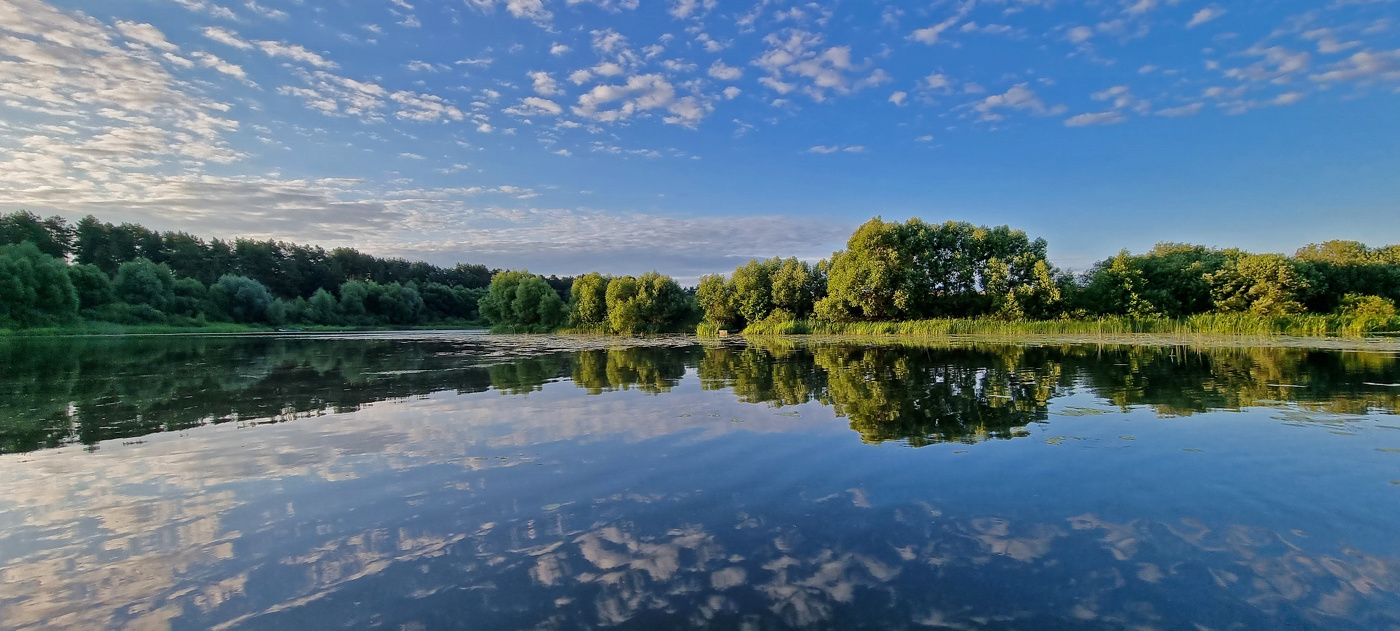 Июльское утро...