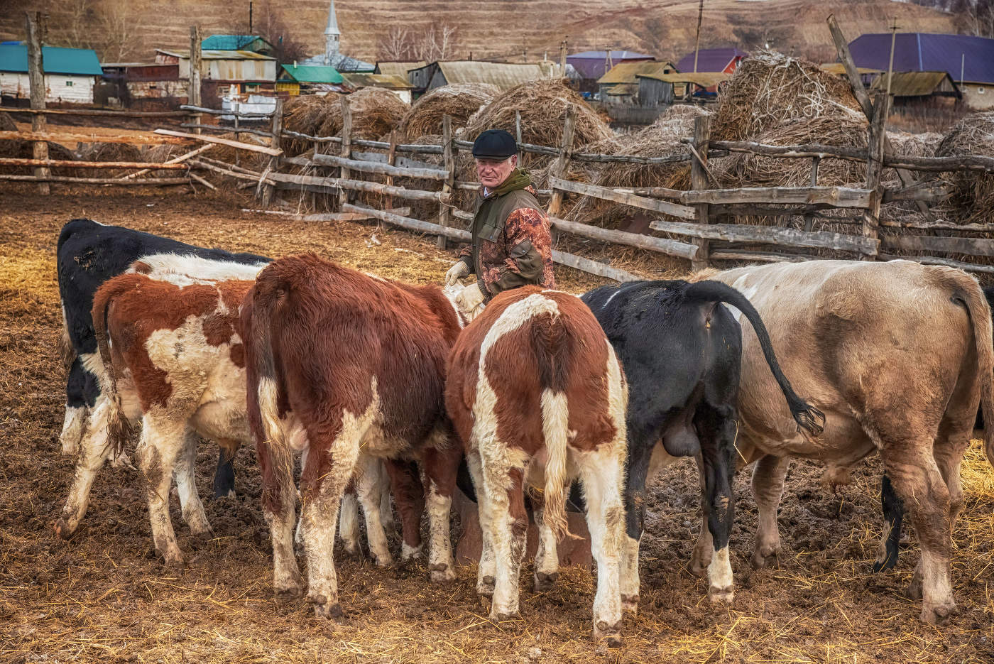 Первооснова